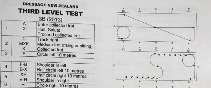 Dressage intro result