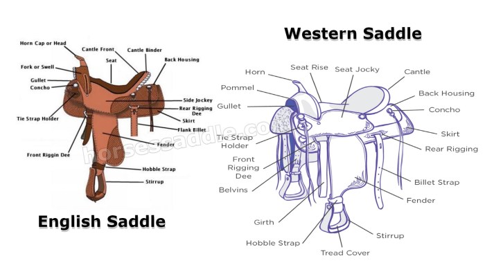 Parts of a saddle diagram