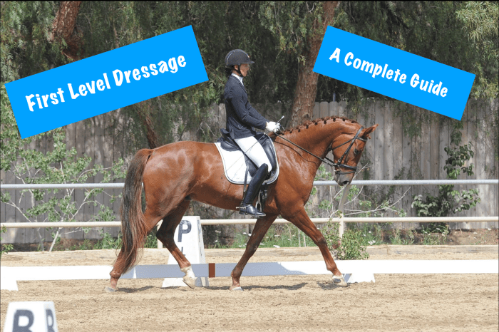 Dressage training level test 1